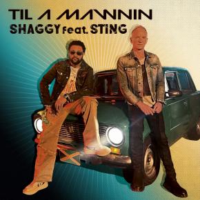 SHAGGY FT STING - TILL A MAWNIN